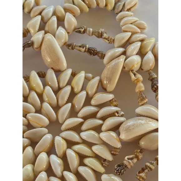 Late 20th Century Natural Cowrie Shell Wall Decor - Picture 6 of 8